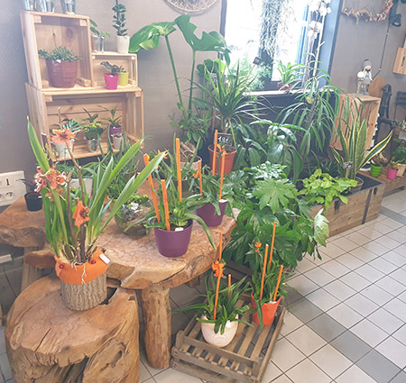 Magasin de fleurs à Wattignies